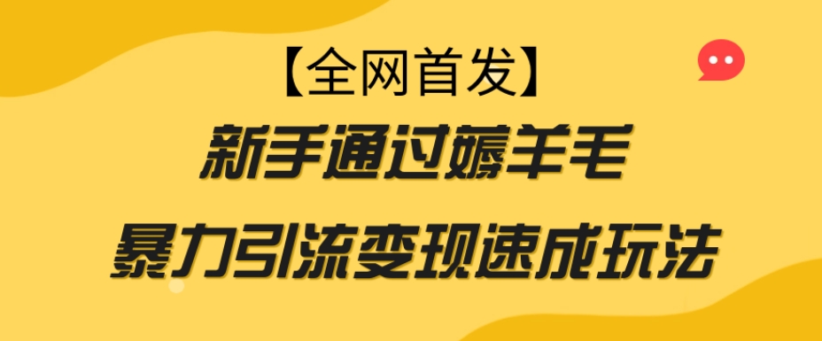 【全网首发】新手通过薅羊毛暴力引流变现速成玩法-云途资源库