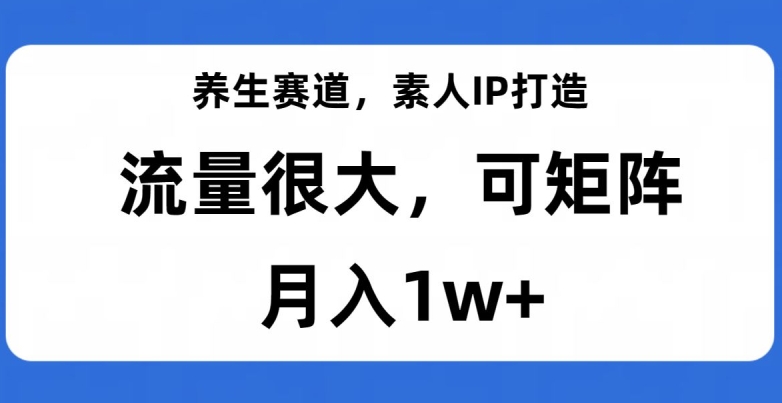 养生赛道，素人IP打造，流量很大，可矩阵，月入1w+【揭秘】-云途资源库