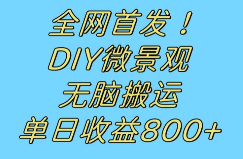 全网首发冷门赛道！DIY微景观，无脑搬运视频，日收益800+【揭秘】-云途资源库