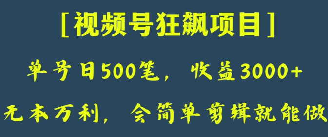 日收款500笔，纯利润3000+，视频号狂飙项目，会简单剪辑就能做【揭秘】-云途资源库