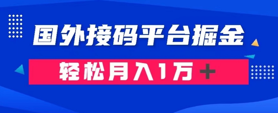 通过国外接码平台掘金：成本1.3，利润10＋，轻松月入1万＋【揭秘】-云途资源库