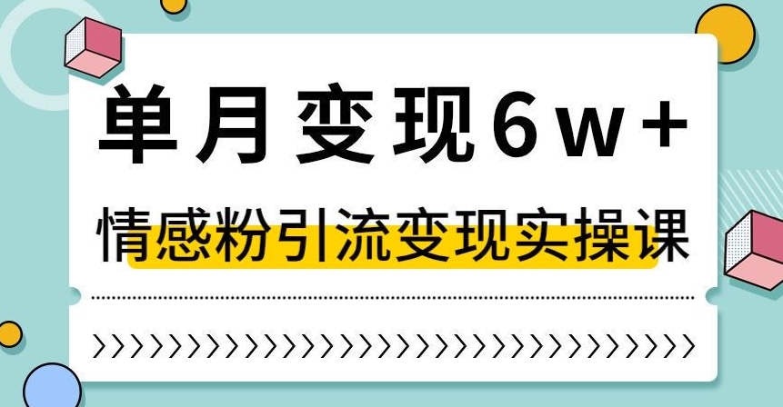 单月变现6W+，抖音情感粉引流变现实操课，小白可做，轻松上手，独家赛道【揭秘】-云途资源库