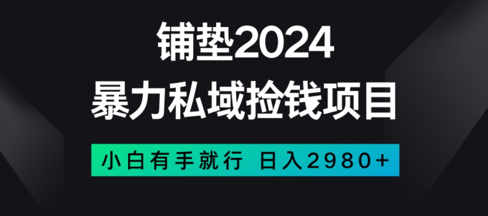 暴力私域捡钱项目，小白无脑操作，日入2980【揭秘】-云途资源库