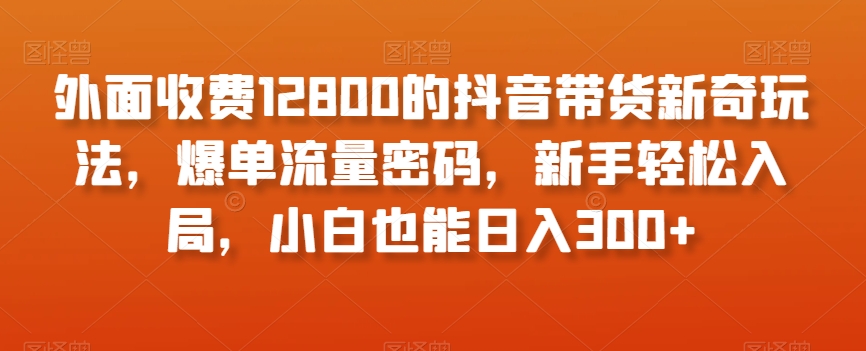 外面收费12800的抖音带货新奇玩法，爆单流量密码，新手轻松入局，小白也能日入300+【揭秘】-云途资源库