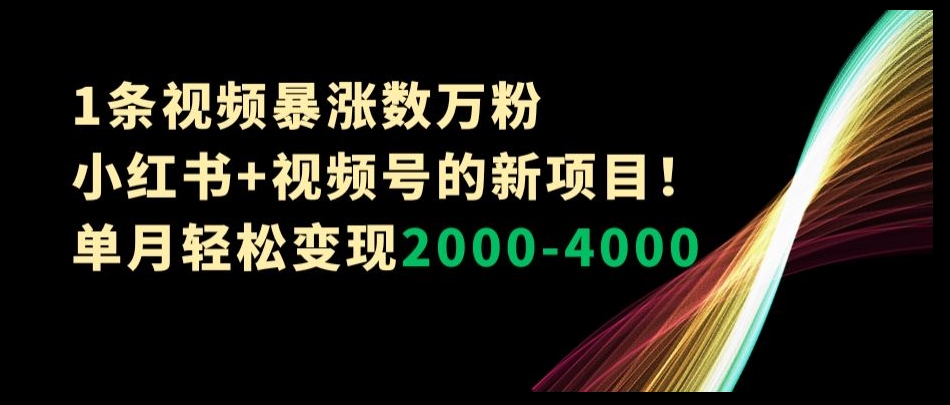 1条视频暴涨数万粉–小红书+视频号的新项目！单月轻松变现2000-4000【揭秘】-云途资源库