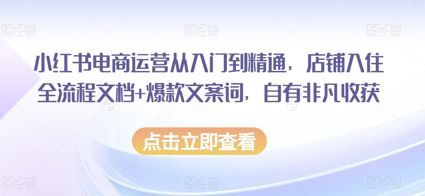 小红书电商运营从入门到精通，店铺入住全流程文档+爆款文案词，自有非凡收获-云途资源库