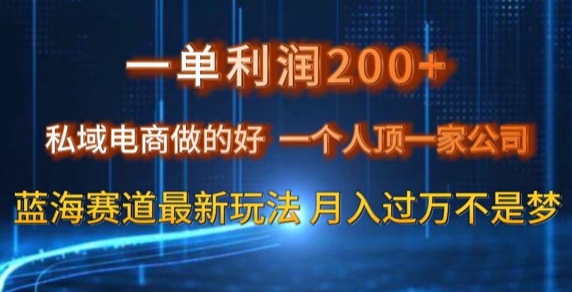 一单利润200私域电商做的好，一个人顶一家公司蓝海赛道最新玩法【揭秘】-云途资源库