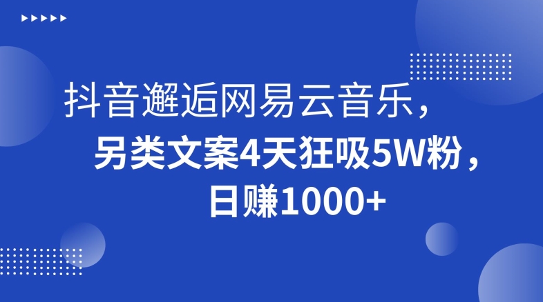 抖音邂逅网易云音乐，另类文案4天狂吸5W粉，日赚1000+【揭秘】-云途资源库