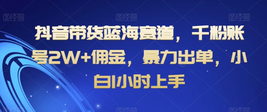 抖音带货蓝海赛道，千粉账号2W+佣金，暴力出单，小白1小时上手【揭秘】-云途资源库