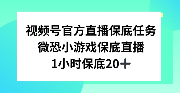 视频号直播任务，微恐小游戏，1小时20+【揭秘】-云途资源库