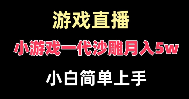 玩小游戏一代沙雕月入5w，爆裂变现，快速拿结果，高级保姆式教学【揭秘】-云途资源库