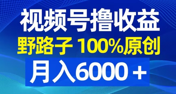 视频号野路子撸收益，100%原创，条条爆款，月入6000＋【揭秘】-云途资源库