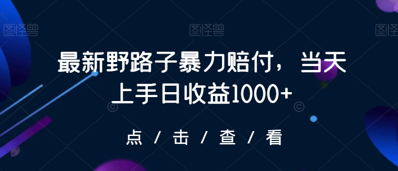 最新野路子暴力赔付，当天上手日收益1000+【仅揭秘】-云途资源库