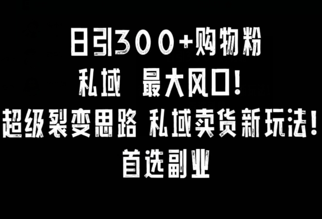 日引300+购物粉，超级裂变思路，私域卖货新玩法，小红书首选副业【揭秘】-云途资源库