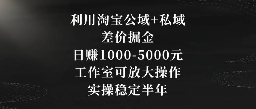 利用淘宝公域+私域差价掘金，日赚1000-5000元，工作室可放大操作，实操稳定半年【揭秘】-云途资源库