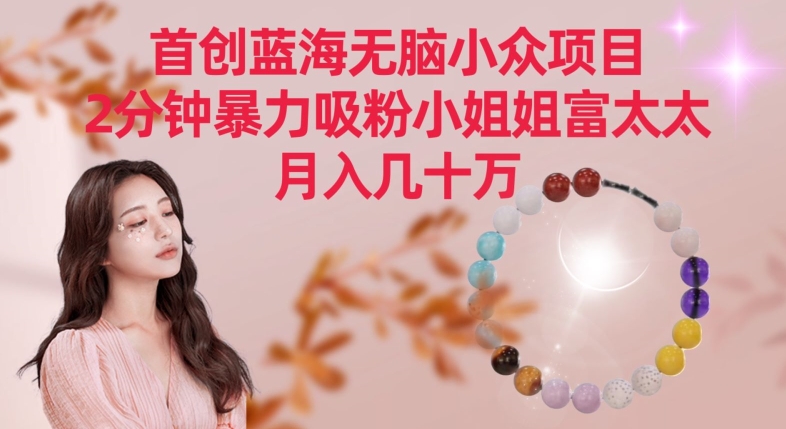 首创蓝海无脑小众项目，2分钟暴力吸粉小姐姐富太太，月入几十万【揭秘】-云途资源库