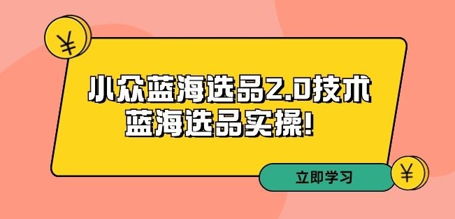 拼多多培训第33期：小众蓝海选品2.0技术-蓝海选品实操！-云途资源库