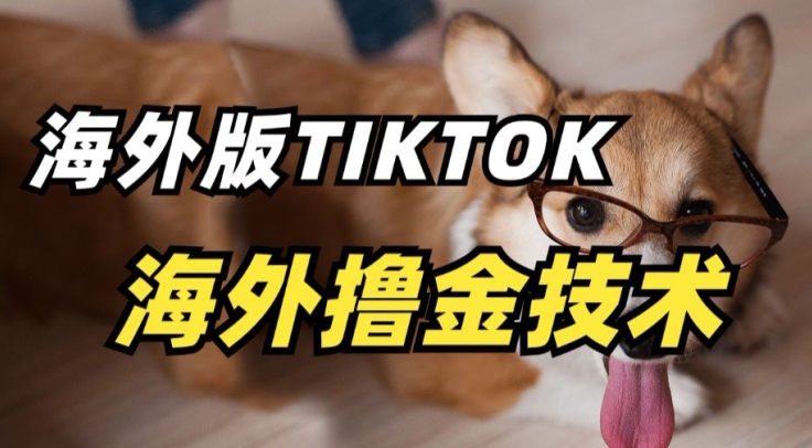 抖音海外版tiktok撸金技术，这个风口行业，赚钱真的不难【揭秘】-云途资源库