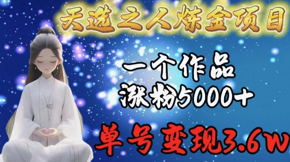 天选之人炼金项目，一个作品涨粉5000+，单号变现3.6w【揭秘】-云途资源库