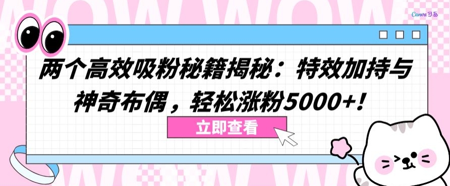 两个高效吸粉秘籍揭秘：特效加持与神奇布偶，轻松涨粉5000+【揭秘】-云途资源库