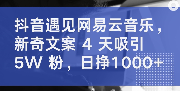 抖音遇见网易云音乐，新奇文案 4 天吸引 5W 粉，日挣1000+【揭秘】-云途资源库