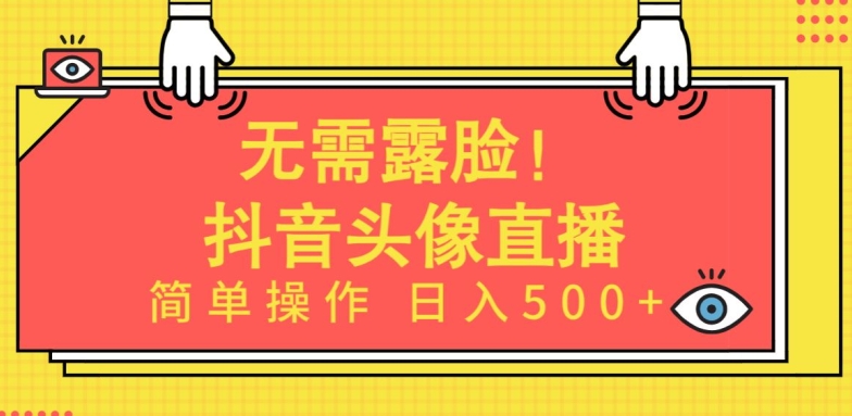 无需露脸，Ai头像直播项目，简单操作日入500+【揭秘】-云途资源库