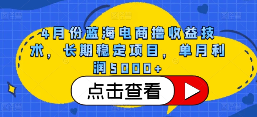 4月份蓝海电商撸收益技术，长期稳定项目，单月利润5000+【揭秘】-云途资源库