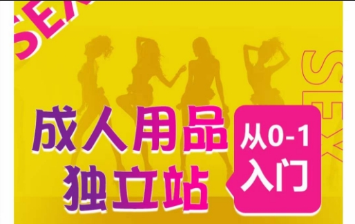 成人用品独立站从0-1入门，成品独立站运营全流程教学，七大好卖成品独立站推荐-云途资源库