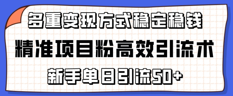 精准项目粉高效引流术，新手单日引流50+，多重变现方式稳定赚钱【揭秘】-云途资源库