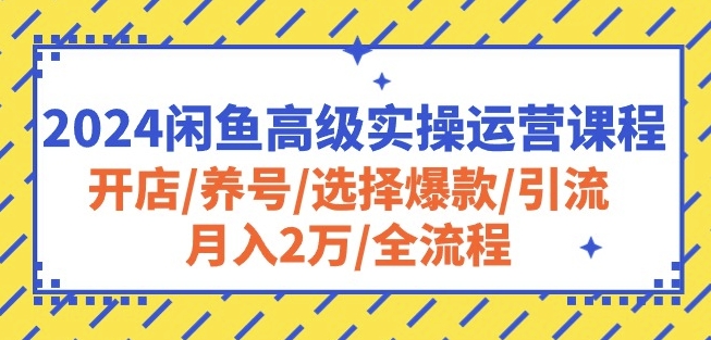 2024闲鱼高级实操运营课程：开店/养号/选择爆款/引流/月入2万/全流程-云途资源库