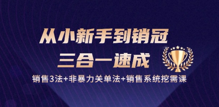 从小新手到销冠 三合一速成：销售3法+非暴力关单法+销售系统挖需课 (27节)-云途资源库