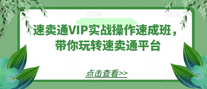 速卖通VIP实战操作速成班，带你玩转速卖通平台-云途资源库