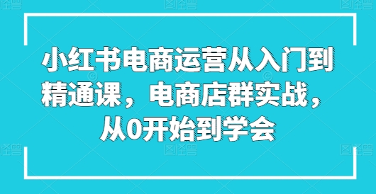 小红书电商运营从入门到精通课，电商店群实战，从0开始到学会-云途资源库