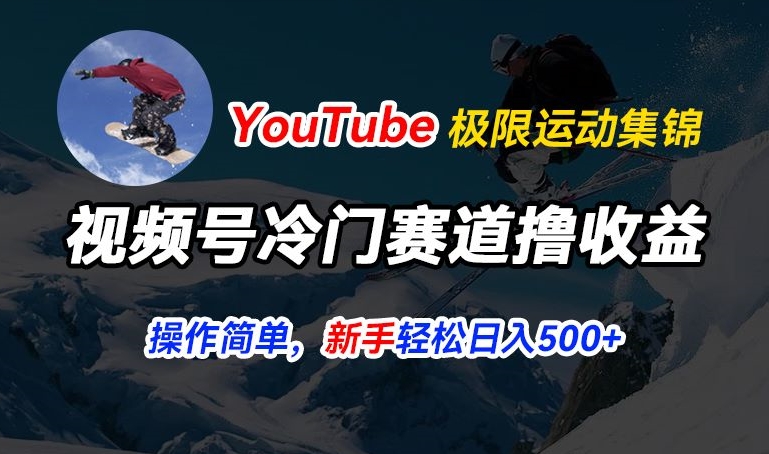 视频号冷门赛道撸收益，YouTube搬运极限运动集锦，暴力起号，操作简单流量高，轻松日入5张【揭秘】-云途资源库
