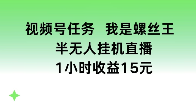 视频号任务，我是螺丝王， 半无人挂机1小时收益15元【揭秘】-云途资源库