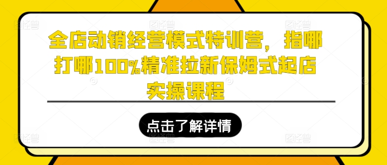 全店动销经营模式特训营，指哪打哪100%精准拉新保姆式起店实操课程-云途资源库