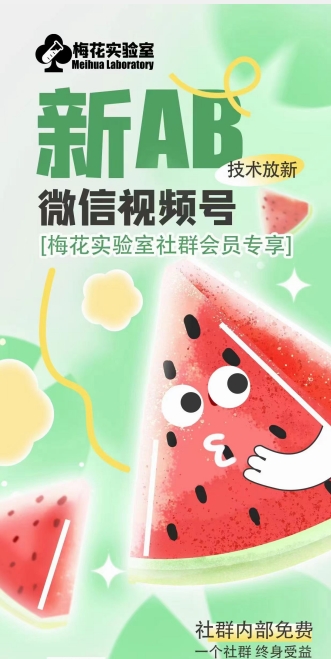 梅花实验室2024年AB技术视频号AB合成破解版-云途资源库