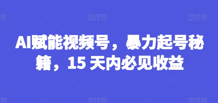 AI赋能视频号，暴力起号秘籍，15 天内必见收益【揭秘】-云途资源库