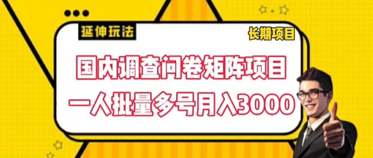 国内调查问卷矩阵项目，一人批量多号月入3000【揭秘】-云途资源库