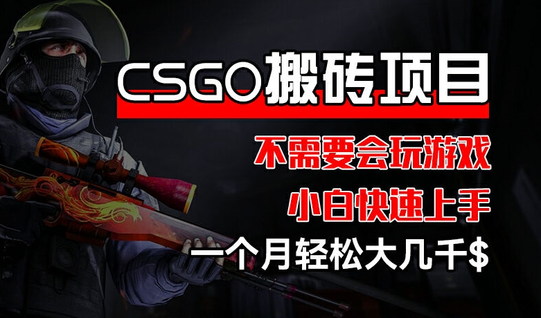 CSGO 装备搬砖项目，操作简单，不需要会玩游戏，小白也能快速上手，一个月轻松大几千【揭秘】-云途资源库