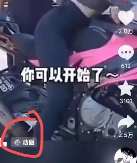 2024年7月苹果手机动图搬运技术-云途资源库