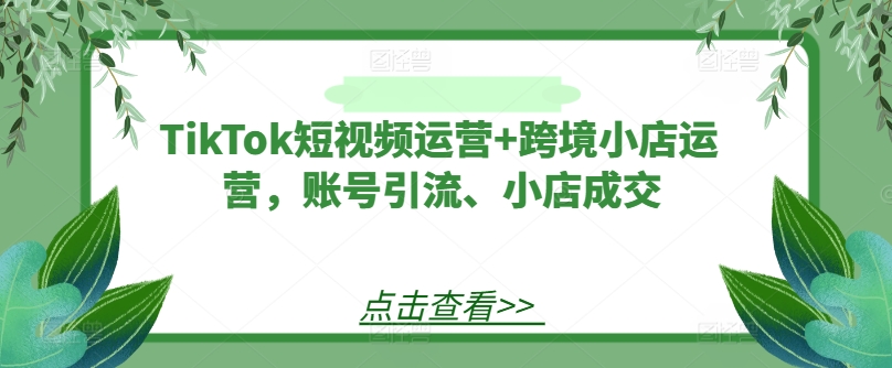 TikTok短视频运营+跨境小店运营，账号引流、小店成交-云途资源库