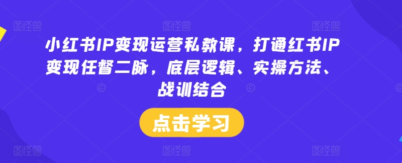 小红书IP变现运营私教课，打通红书IP变现任督二脉，底层逻辑、实操方法、战训结合-云途资源库