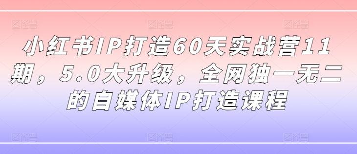 小红书IP打造60天实战营11期，5.0大升级，全网独一无二的自媒体IP打造课程-云途资源库