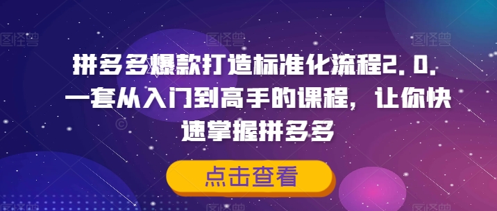 拼多多爆款打造标准化流程2.0，一套从入门到高手的课程，让你快速掌握拼多多-云途资源库