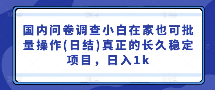 国内问卷调查小白在家也可批量操作(日结)真正的长久稳定项目，日入1k【揭秘】-云途资源库