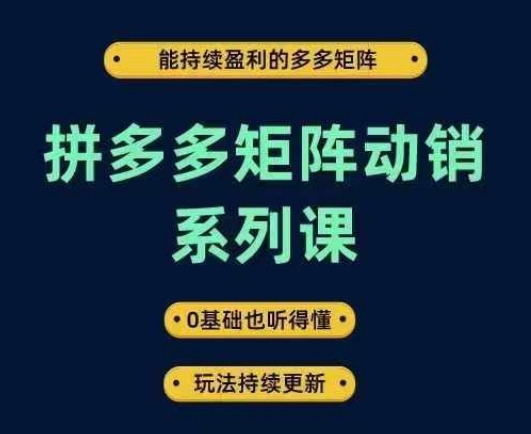 拼多多矩阵动销系列课，能持续盈利的多多矩阵，0基础也听得懂，玩法持续更新-云途资源库
