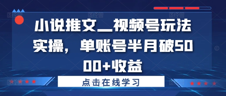 小说推文—视频号玩法实操，单账号半月破5000+收益-云途资源库