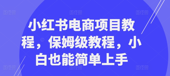小红书电商项目教程，保姆级教程，小白也能简单上手-云途资源库