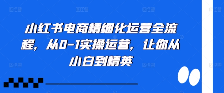 小红书电商精细化运营全流程，从0-1实操运营，让你从小白到精英-云途资源库